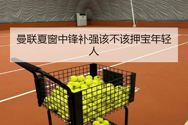 曼联夏窗中锋补强该不该押宝年轻人
